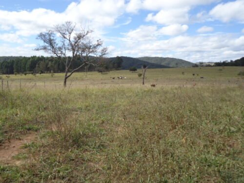 15 terreno em bonfim mg 31 99526 5839