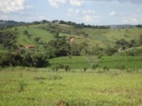 chacara 1700 metros a venda em crucilandia mg 3199526 5839 zz20