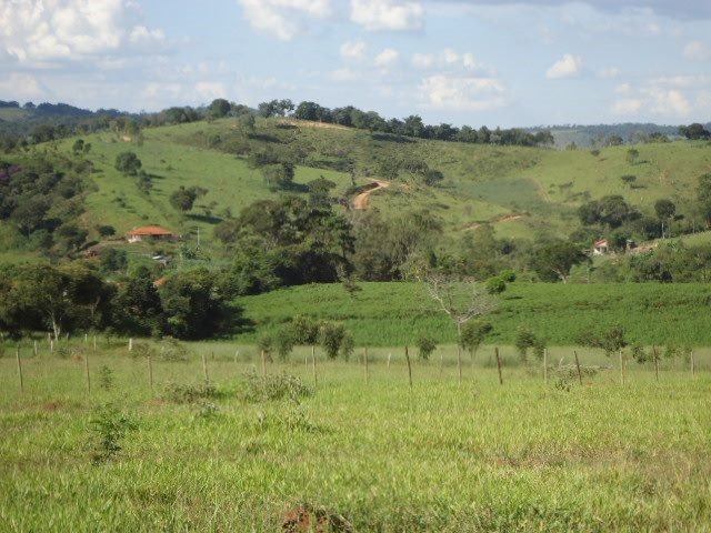chacara 1700 metros a venda em crucilandia mg 3199526 5839 zz20