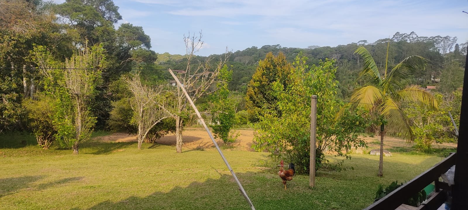 Imagem do WhatsApp de 2025-10-26 à(s) 21.45.47_43557fc1