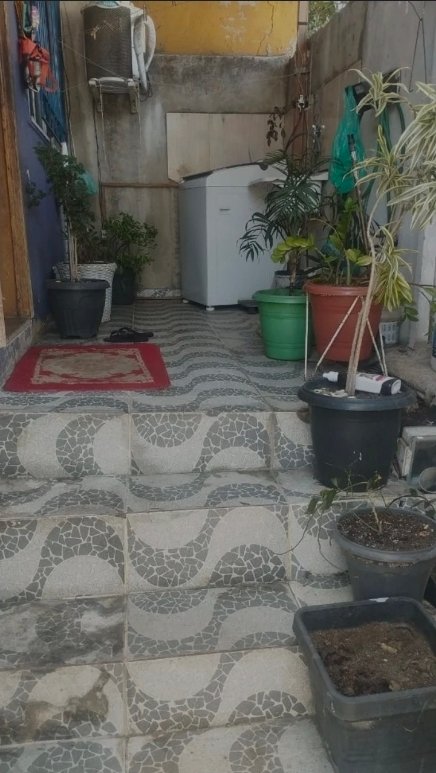 Screenshot_20260220_200528_Samsung Internet