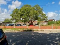 IMG_20260122_095639_045@1584604169